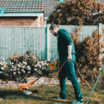 mow the lawn