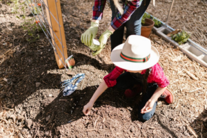 mulching beds
