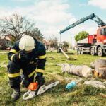 arborist
