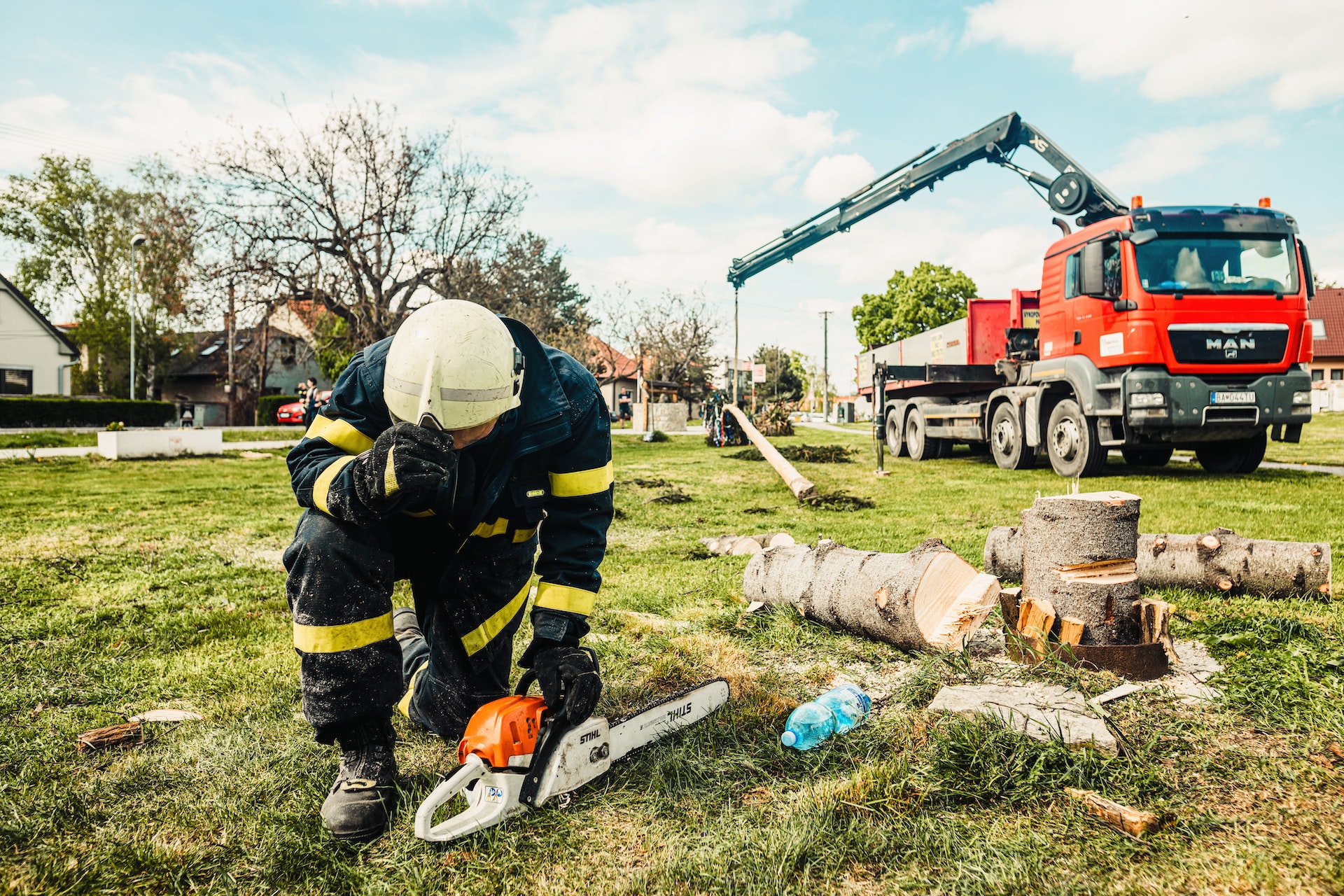arborist